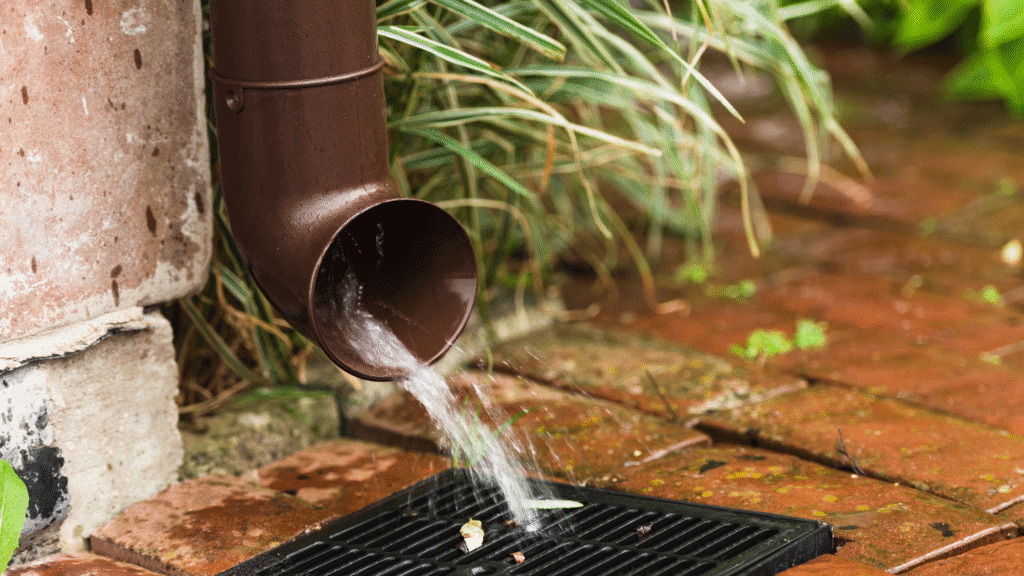 How Leaves, Dirt, and Roots Clog Your Storm Drain—And How Hydro Jetting Fixes It